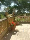 Mallorca terrace
