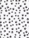 paws