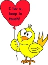 Luv bird