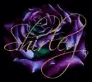Shirley