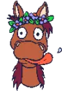 horse crazy