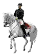 horse 