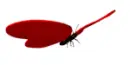 Flying Butterfly Of DOOM