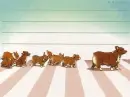 cowboy bebop