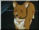 cowboy bebop