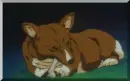 cowboy bebop