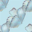 butterfli6