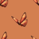 butterfli5
