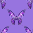 butterfli4