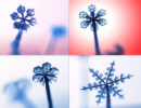SnowFlakes3