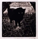 black cat