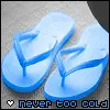Flip*Flops