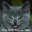 Crazy cat Kitty