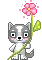 cat with flower