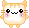 cute cat
