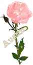 Austin-Pink Spakly Rose
