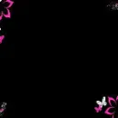 Emo Flower Background