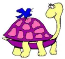 turtle girl with bird