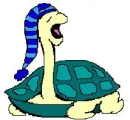 sleepy turtle green