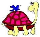 girl turtle red with bird