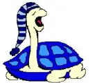 sleepy turtle blue