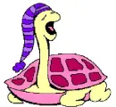 sleepy turtle pink