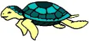 swimming turtle green