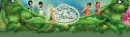 disney fairies