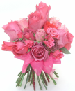 pink roses