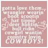 gotta love them cowboys