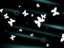 Butterflys