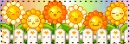 sun flowers