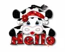 hello