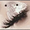 glitter eye
