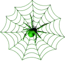 spider png