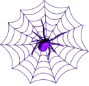 spider png