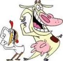 cow and chicken