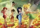 disney fairies
