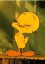tweety