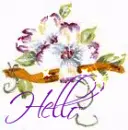 Hello