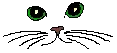 whiskers