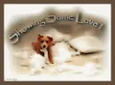 Puppy Love