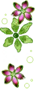 pretty flowers