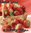 lovely day