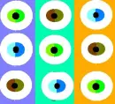 Eyes