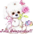 Birthday
