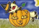 Kirara Halloween