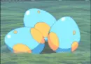mudkips
