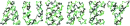 Aubrey Stars