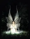 faery of the hight